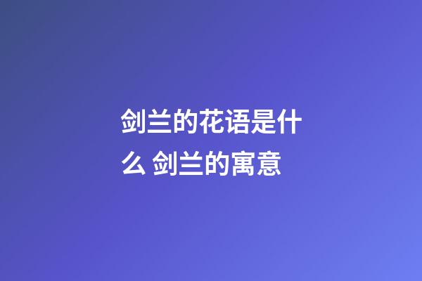 剑兰的花语是什么 剑兰的寓意